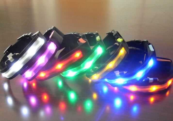 GlowTrail Dog Collar