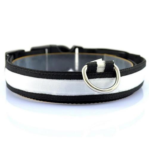 GlowTrail Dog Collar