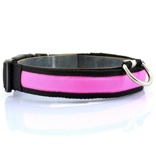GlowTrail Dog Collar