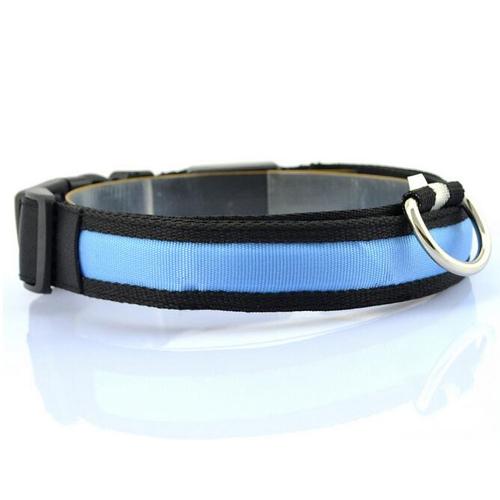 GlowTrail Dog Collar