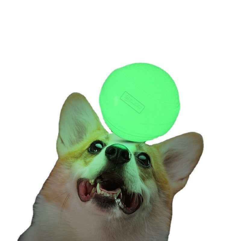 GlowFetch Dog Ball