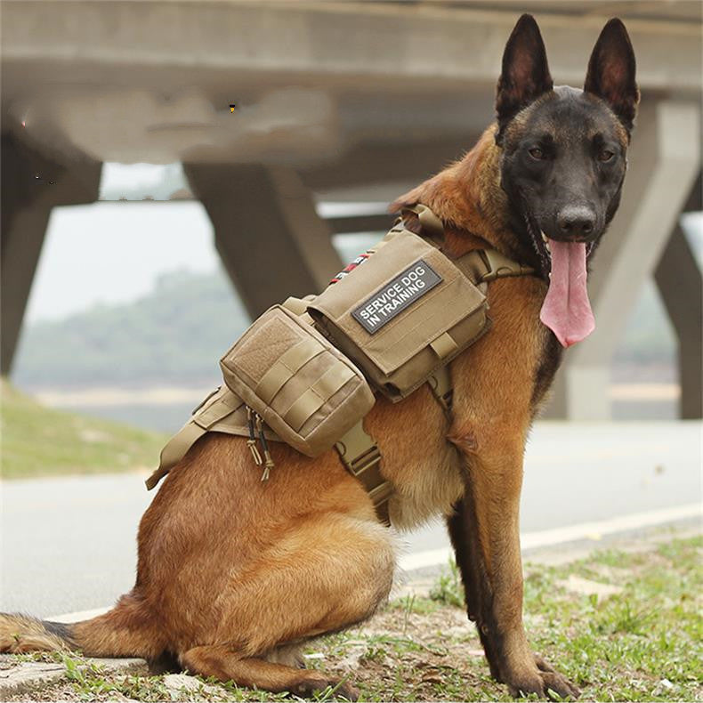 Ranger Dog Harness