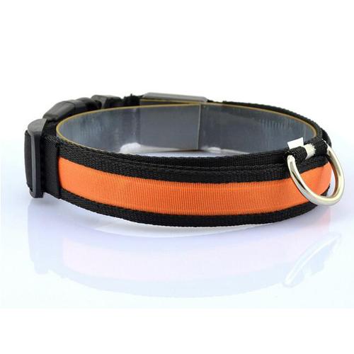 GlowTrail Dog Collar