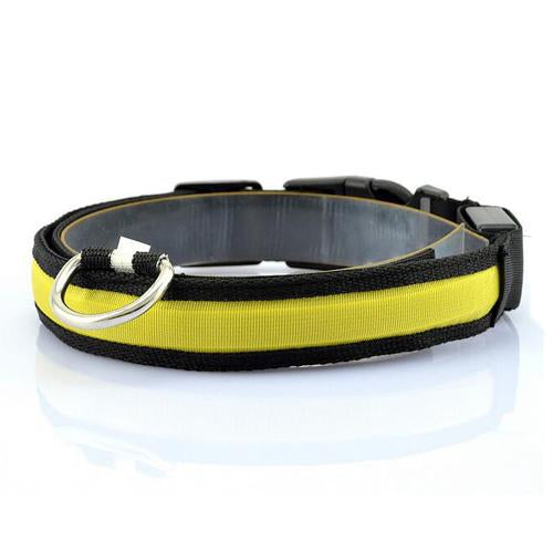 GlowTrail Dog Collar