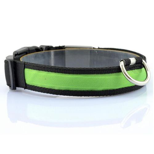 GlowTrail Dog Collar